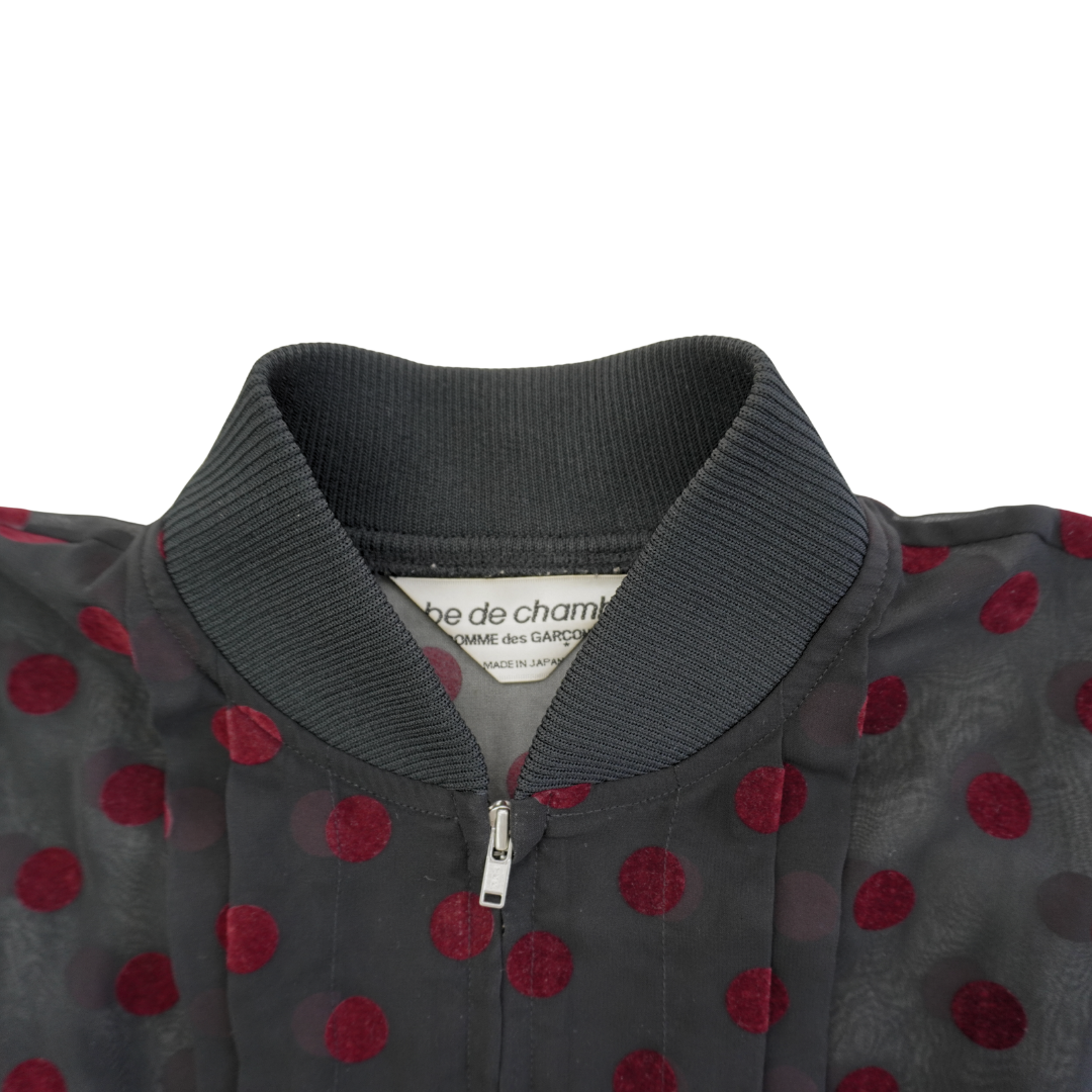 robe de chambre COMME des GARÇONS  Flocked Polka Dot Sheer Jacket